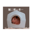 ハムタンスタンプ（個別スタンプ：16）