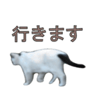 野良猫白猫（個別スタンプ：15）