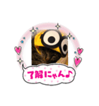 ねこのきゃべつ君（個別スタンプ：3）