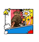 ねこのきゃべつ君（個別スタンプ：4）