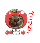 ねこのきゃべつ君（個別スタンプ：6）