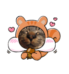 ねこのきゃべつ君（個別スタンプ：8）