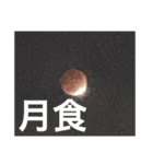 新しすぎるスタンプ（個別スタンプ：3）