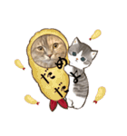 きょとんちゃんなマンチカンのご挨拶♡（個別スタンプ：25）