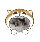 ねこ きゃべつ君（個別スタンプ：2）