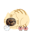ねこ きゃべつ君（個別スタンプ：5）