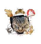 ねこ きゃべつ君（個別スタンプ：8）