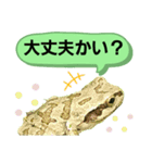 野生のカエル6(日常便利)（個別スタンプ：31）