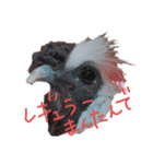 田口家のみなさん（個別スタンプ：3）