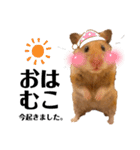 ハム子第二弾（個別スタンプ：1）