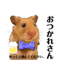 ハム子第二弾（個別スタンプ：4）