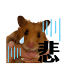 ハム子第二弾（個別スタンプ：10）