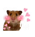 ハム子第二弾（個別スタンプ：11）