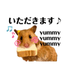 ハム子第二弾（個別スタンプ：20）