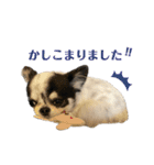 もずくちゃんのスタンプ2（個別スタンプ：5）