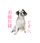 もずくちゃんのスタンプ2（個別スタンプ：8）