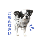 もずくちゃんのスタンプ2（個別スタンプ：11）