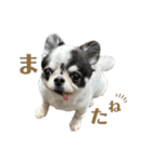 もずくちゃんのスタンプ2（個別スタンプ：18）