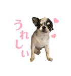 もずくちゃんのスタンプ2（個別スタンプ：20）