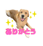 ぼくはチャック（個別スタンプ：1）