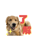 ぼくはチャック（個別スタンプ：5）