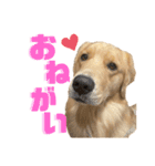 ぼくはチャック（個別スタンプ：6）