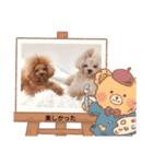 プードルファミリの日常（個別スタンプ：14）