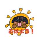 金ちゃん風ちゃん雷ちゃん（個別スタンプ：1）
