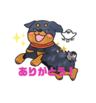 金ちゃん風ちゃん雷ちゃん（個別スタンプ：3）