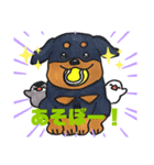 金ちゃん風ちゃん雷ちゃん（個別スタンプ：6）
