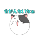 猫？玉？謎のにゃーこっこ玉（個別スタンプ：9）