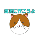 猫？玉？謎のにゃーこっこ玉（個別スタンプ：10）