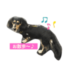 ダックスのニコちゃん（日常）（個別スタンプ：8）