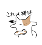 ネコのアイツ【NEKO-NO-AITSU】（個別スタンプ：7）