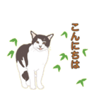 猫のゴッホと仲間たち（個別スタンプ：1）