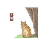 猫のゴッホと仲間たち（個別スタンプ：4）