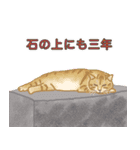 猫のゴッホと仲間たち（個別スタンプ：16）