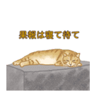 猫のゴッホと仲間たち（個別スタンプ：18）