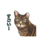 猫のゴッホと仲間たち（個別スタンプ：19）