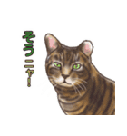 猫のゴッホと仲間たち（個別スタンプ：20）