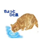 猫のゴッホと仲間たち（個別スタンプ：29）