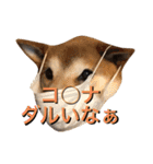 愛犬ムク2（個別スタンプ：3）