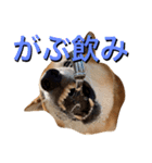 愛犬ムク2（個別スタンプ：9）