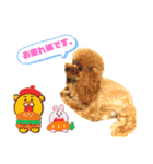 チコリオあぴありファミリー（個別スタンプ：4）