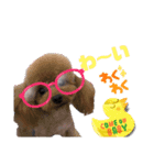 チコリオあぴありファミリー（個別スタンプ：7）
