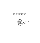 インコ専用のスタンプ（個別スタンプ：4）