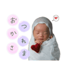 はやギョドン（個別スタンプ：12）