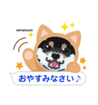 seinatouchの柴犬・黒柴・白柴（個別スタンプ：8）