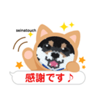 seinatouchの柴犬・黒柴・白柴（個別スタンプ：14）