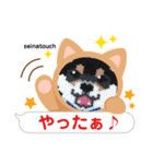 seinatouchの柴犬・黒柴・白柴（個別スタンプ：24）